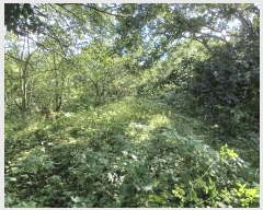  2025Ÿ��52021  �����