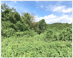  2025Ÿ��52021  �����