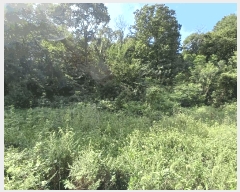  2025Ÿ��52021  �����