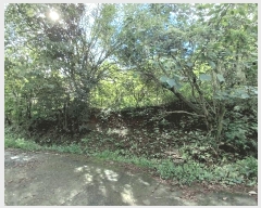  2025Ÿ��52021  �����