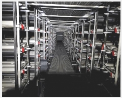  2025Ÿ��52039  ������