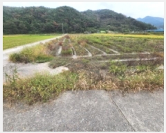  2025Ÿ��52099 ���� ��õ�� Ȳ���� Ȳ�и� 633-1      ����(��)���