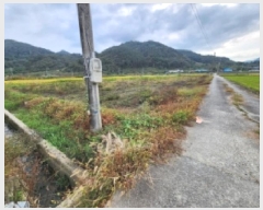  2025Ÿ��52099 ���� ��õ�� Ȳ���� Ȳ�и� 633-1      ����(��)���