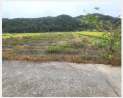  2025Ÿ��52099 ���� ��õ�� Ȳ���� Ȳ�и� 633-1      ����(��)���