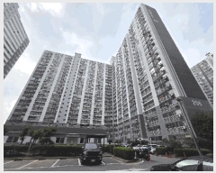  2025Ÿ��52117  ����Ʈ���