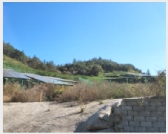  2025Ÿ��52123  �Ӿ߰��