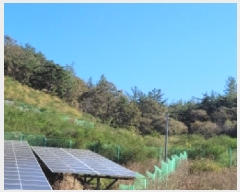  2025Ÿ��52123  �Ӿ߰��