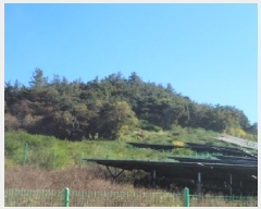  2025Ÿ��52123  �Ӿ߰��