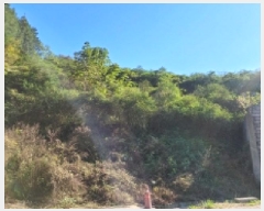  2025Ÿ��52123  �Ӿ߰��