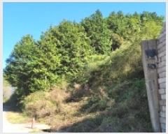  2025Ÿ��52123  �Ӿ߰��