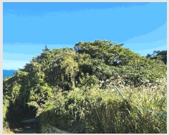  2025Ÿ��52165 ���� ������ ���� ������ 793      ����(��1)���