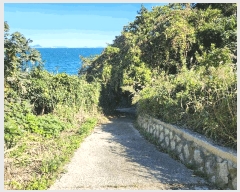  2025Ÿ��52165 ���� ������ ���� ������ 793      ����(��1)���