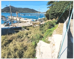  2025Ÿ��52165 ���� ������ ���� ������ 793      ����(��1)���