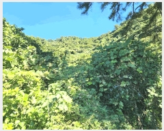  2025Ÿ��52165 ���� ������ ���� ������ 793      ����(��1)���