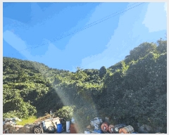  2025Ÿ��52165 ���� ������ ���� ������ 793      ����(��1)���