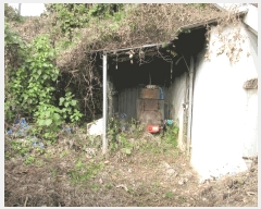  2025Ÿ��52207 ���� ������ ������ �ߵ��� 87-2      ���ð��