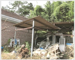  2025Ÿ��52207 ���� ������ ������ �ߵ��� 87-2      ���ð��