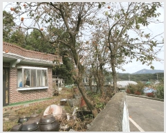  2025Ÿ��52207 ���� ������ ������ �ߵ��� 87-2      ���ð��