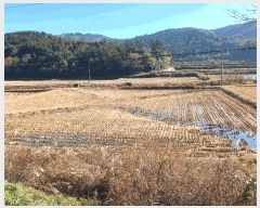  2025Ÿ��52245 ���� ������ ������ �ֺ��� 228-16      ����(����)���