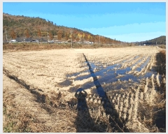  2025Ÿ��52245 ���� ������ ������ �ֺ��� 228-16      ����(����)���