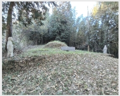  2025Ÿ��52245 ���� ������ ������ �ֺ��� 228-16      ����(����)���