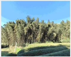  2025Ÿ��52245 ���� ������ ������ �ֺ��� 228-16      ����(����)���