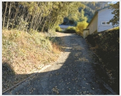  2025Ÿ��52245 ���� ������ ������ �ֺ��� 228-16      ����(����)���