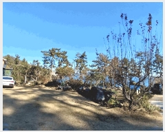  2025Ÿ��52360  ���ð��