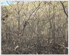  2025Ÿ��52376  �����