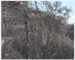  2025Ÿ��52376  �����