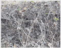  2025Ÿ��52376  �����