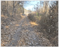  2025Ÿ��52376  �����