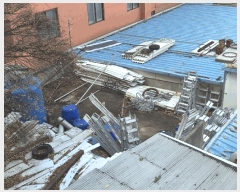  2025Ÿ��52390  �����