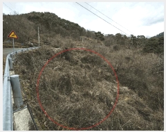  2025Ÿ��52410  ����