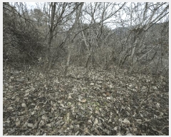  2025Ÿ��52410  ����