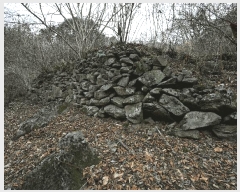  2025Ÿ��52410  ����