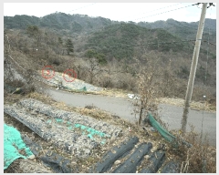  2025Ÿ��52410  ����