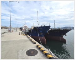  2025Ÿ��678 ������ :   ���󳲵� ������     ���ڰ��