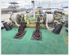  2025Ÿ��678 ������ :   ���󳲵� ������     ���ڰ��