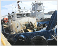  2025Ÿ��52225  ���ڰ��