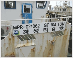  2025Ÿ��52225  ���ڰ��