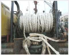  2025Ÿ��52225  ���ڰ��