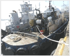  2025Ÿ��52225  ���ڰ��