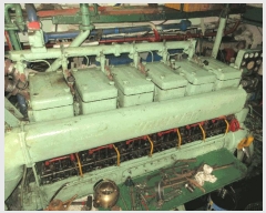  2025Ÿ��52225  ���ڰ��