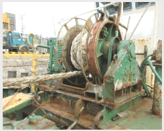  2025Ÿ��52225  ���ڰ��