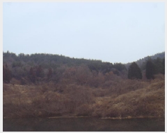  2025Ÿ587  س ȭ ȣ 75      (Ӿ)