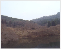  2025Ÿ587  س ȭ ȣ 75      (Ӿ)