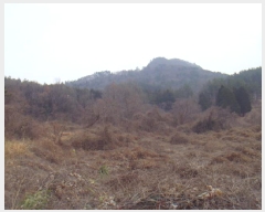  2025Ÿ587  س ȭ ȣ 75      (Ӿ)