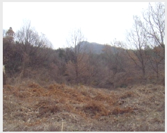  2025Ÿ587  س ȭ ȣ 75      (Ӿ)