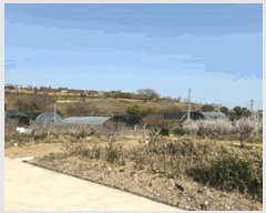  2025Ÿ��648 ���� �ϵ��� ���ܸ� �Ҹ� 396-1      ����(��1)���